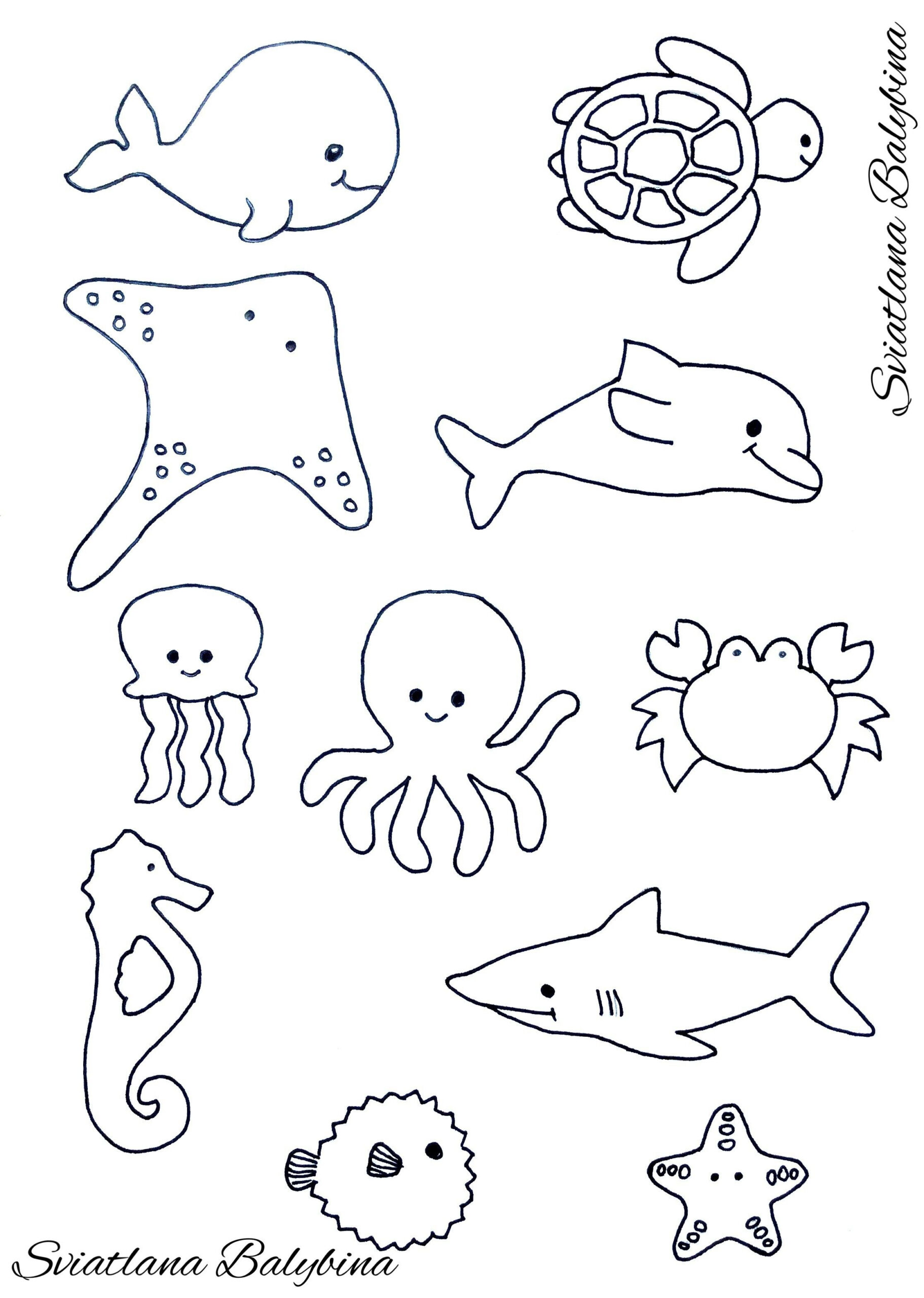 Free Printable Ocean Animal Pictures