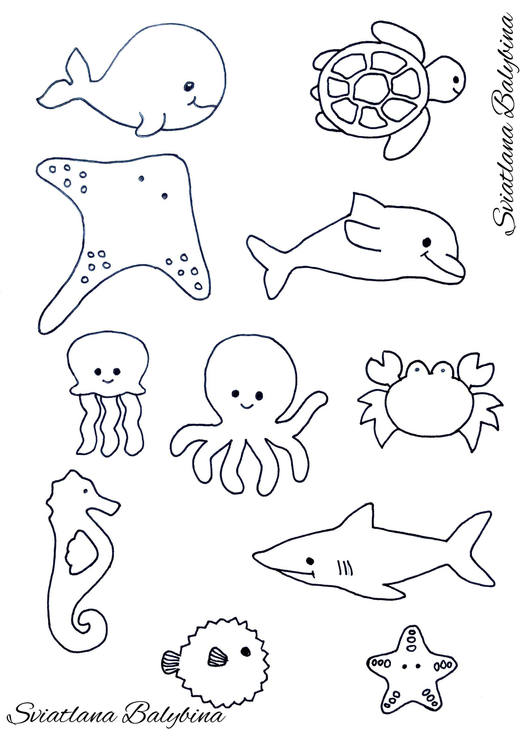 Ocean Animals Sea Animals Template Sea Animal Crafts Sea Animals 