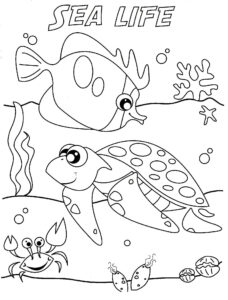 Ocean Life Coloring Pages To Download And Print For Free Ocean