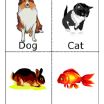 Pets Flashcards Animal Flashcards Flashcards For Kids Flashcards