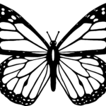 Pin By Kristen Schnell On Imagens Butterfly Black And White Coloring