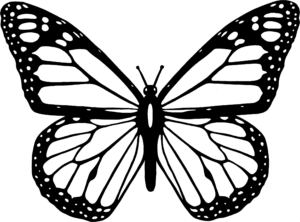 Pin By Kristen Schnell On Imagens Butterfly Black And White Coloring