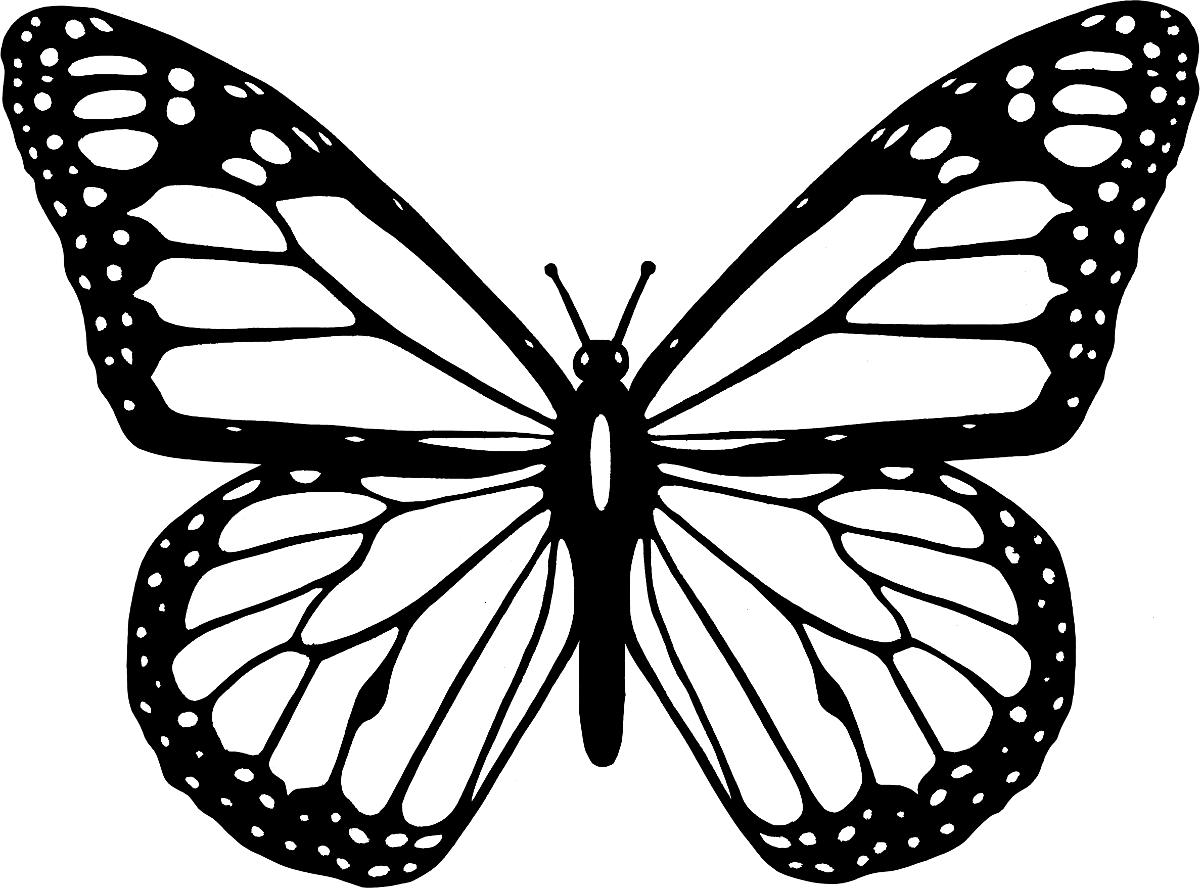 Pin By Kristen Schnell On Imagens Butterfly Black And White Coloring 