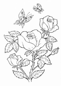 Pin On Fruits And Vegetables Coloring Pages