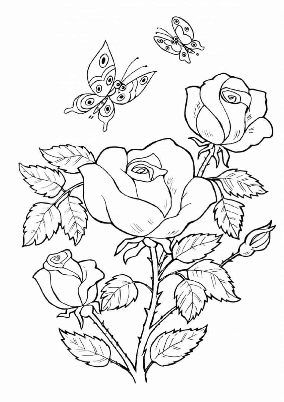 Pin On Fruits And Vegetables Coloring Pages