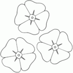 Poppies Coloring Page Remembrance Day Poppy Coloring Page