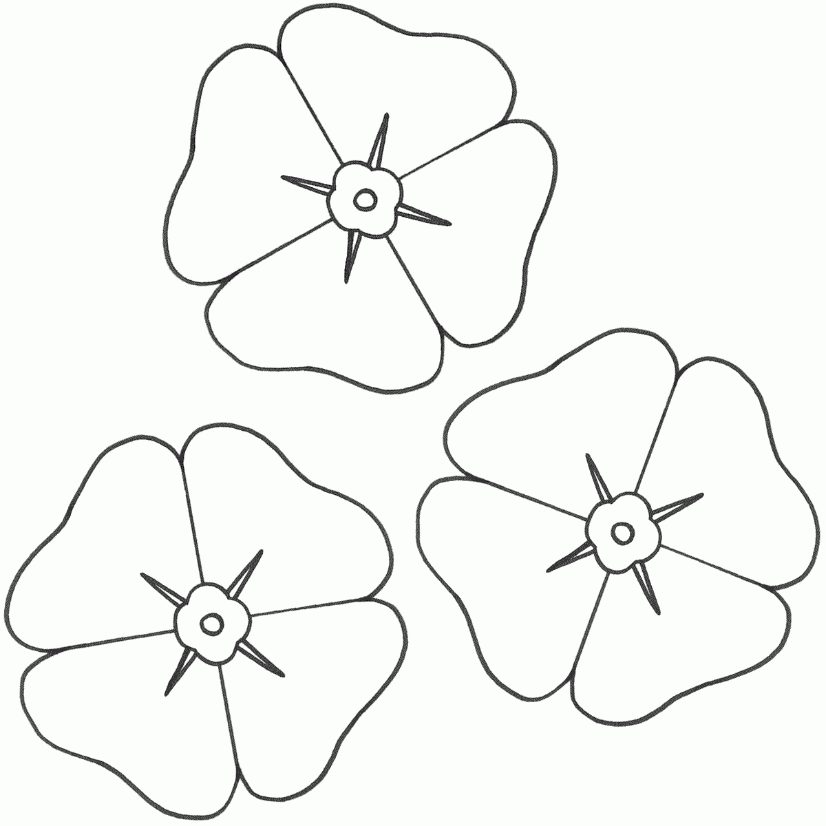 Poppies Coloring Page Remembrance Day Poppy Coloring Page 