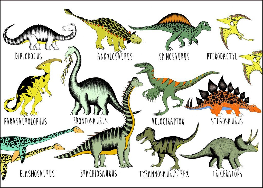 Poster Dinosaur Name Chart Dinosaur Types Dinosaur Pictures Dinosaur