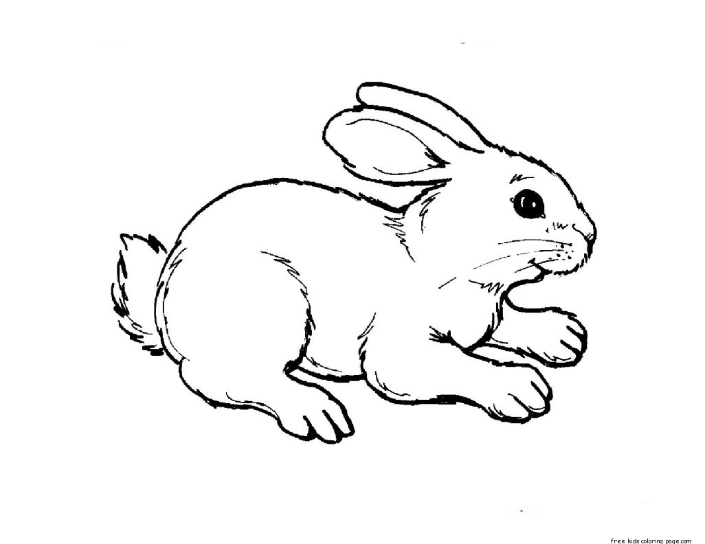 Print Out Animal Rabbit Pictures Colouring Pages For Kids