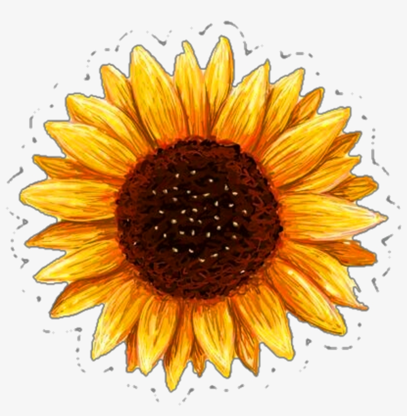 Free Sunflower Pictures To Print