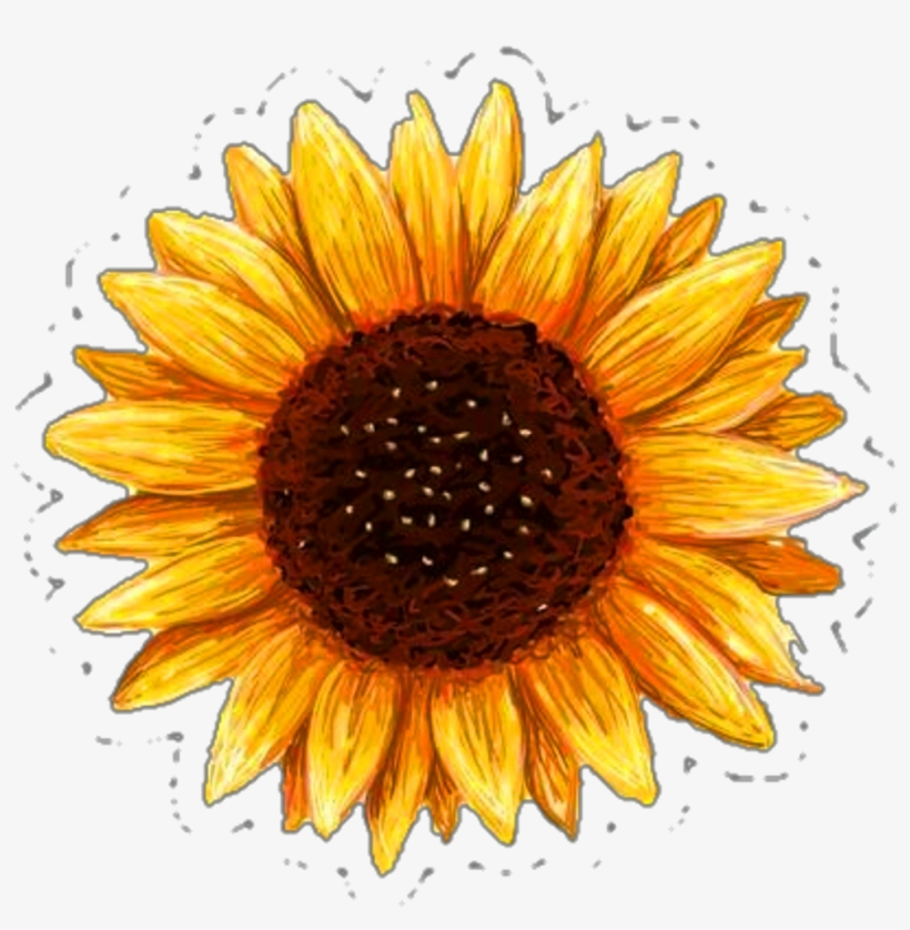 Free Printable Sunflowers Pictures