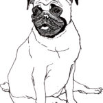 Pug Coloring Pages Best Coloring Pages For Kids