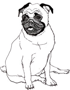 Pug Coloring Pages Best Coloring Pages For Kids