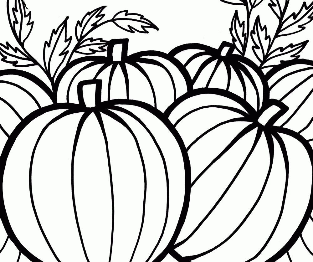 Pumpkins Coloring Pages To Celebrate Thanksgiving Learn To Coloring
