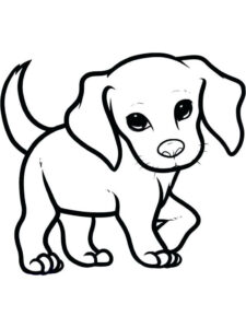 Puppy Coloring Pages Pdf Puppies Are Small Dogs Puppies Are Animals