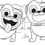 Puppy Dog Pals Colouring Image