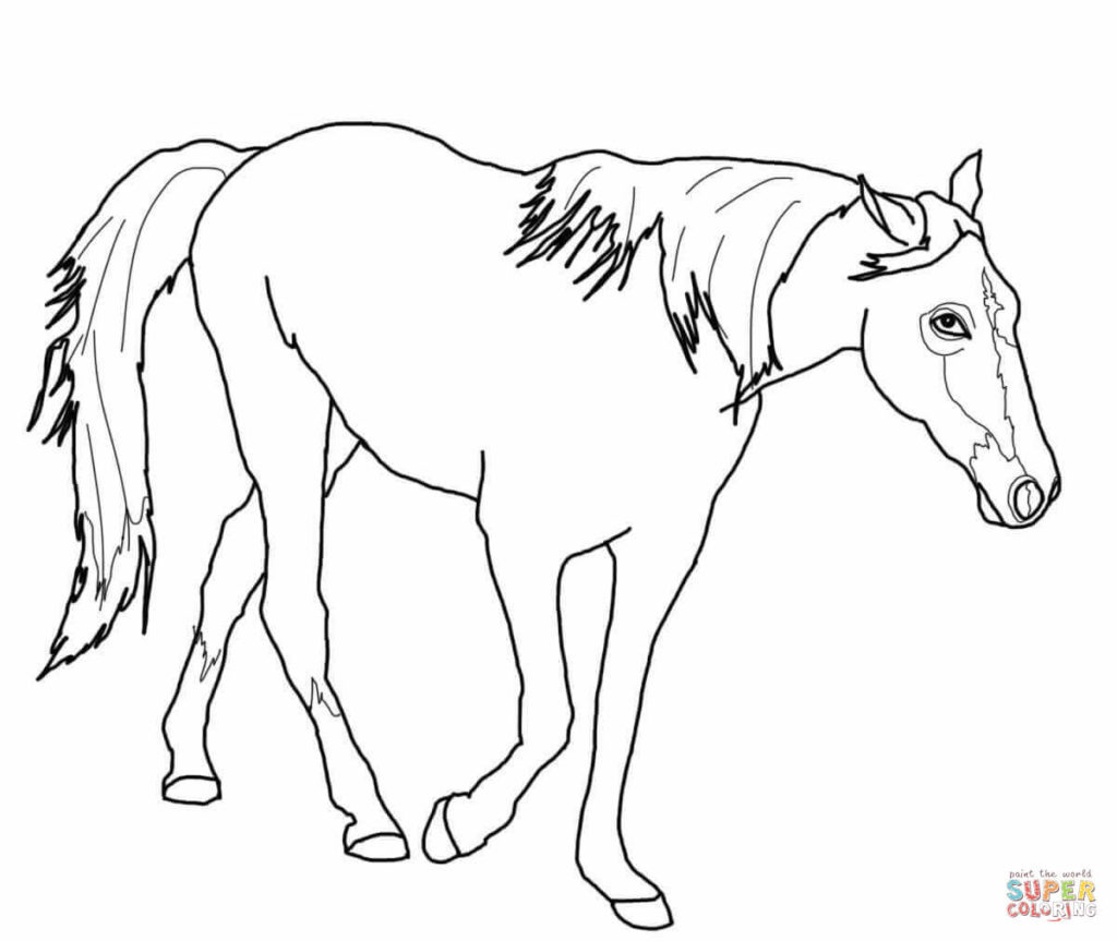 Quarter Horse Coloring Pages At GetColorings Free Printable 