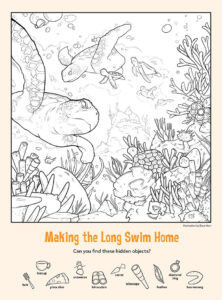 Quizzes Kids Answers Hidden Picture Hidden Pictures Hidden