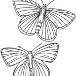 Realistic Butterflies Coloring Page FREE DOWNLOAD