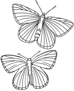 Realistic Butterflies Coloring Page FREE DOWNLOAD