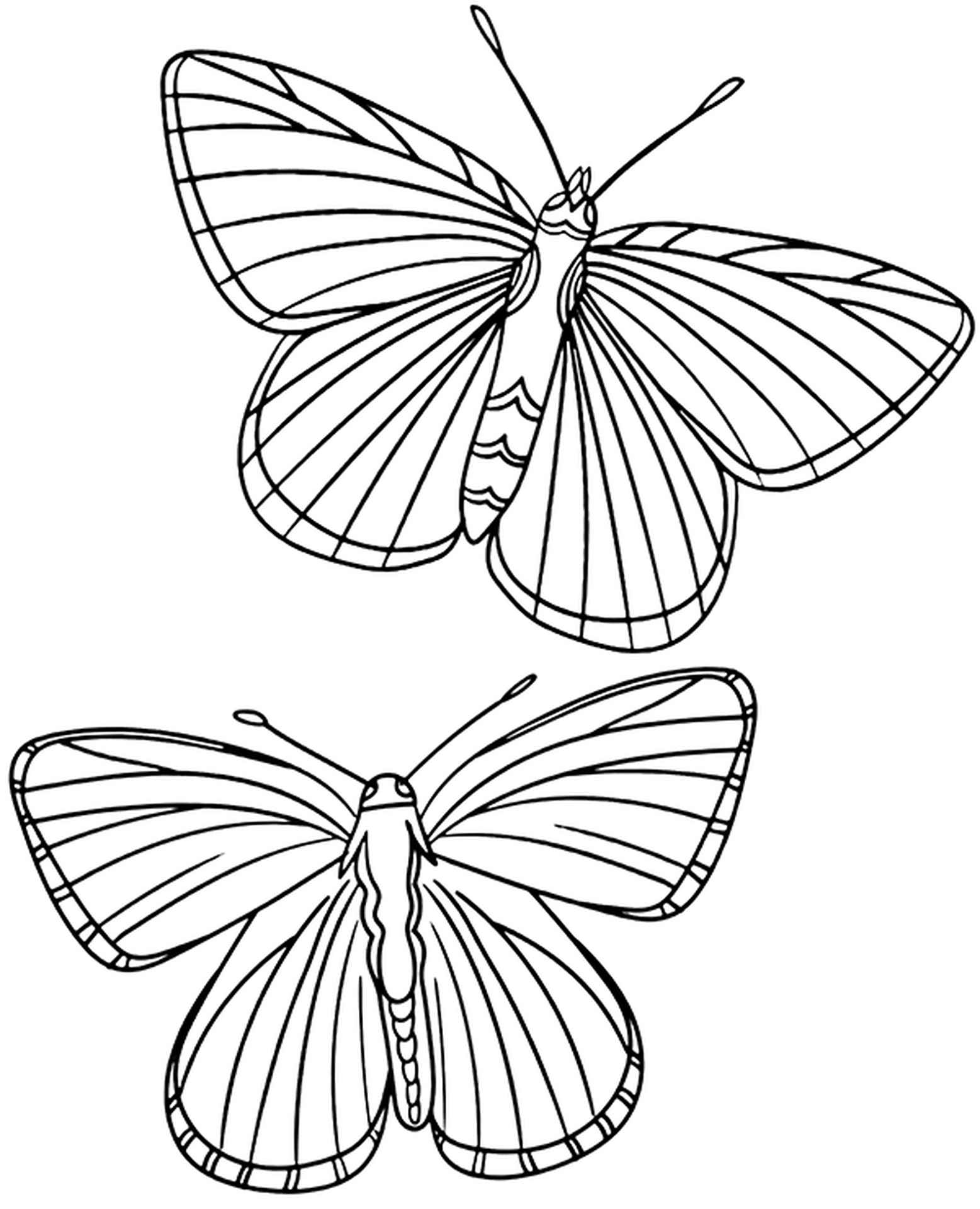 Realistic Butterflies Coloring Page FREE DOWNLOAD 