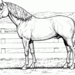 Realistic Coloring Pages Of Horses Realistic Coloring Pages