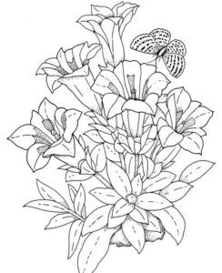 Realistic Drawing Of A Flower At GetDrawings Free Download