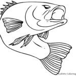 Realistic Fish Coloring Pages Realistic Coloring Pages