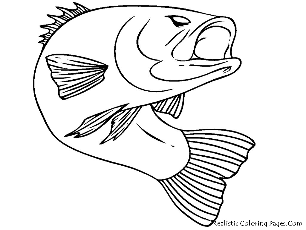 Realistic Fish Coloring Pages Realistic Coloring Pages