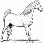 Realistic Horse Coloring Pages To Download And Print For Free