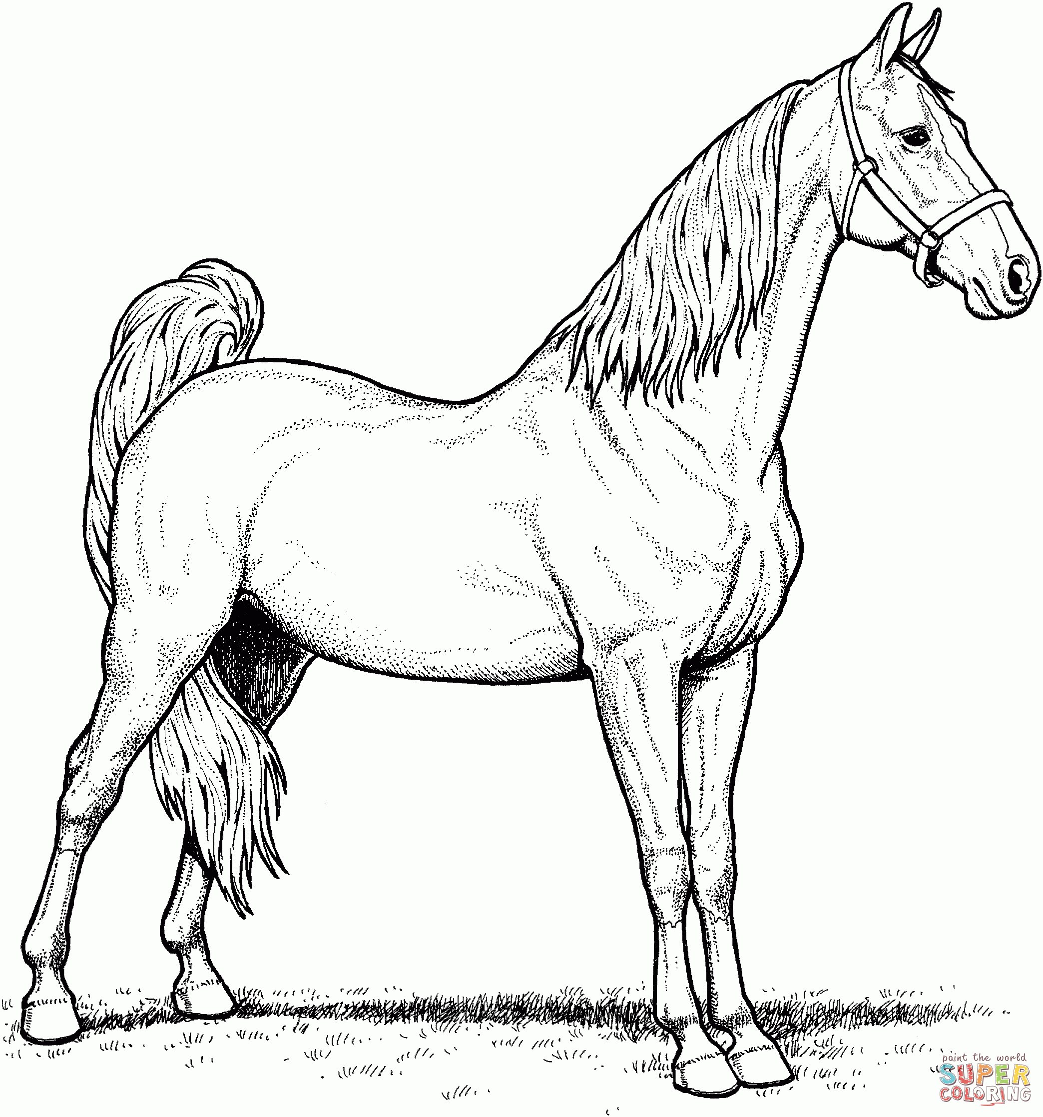 Realistic Horse Coloring Pages To Download And Print For Free