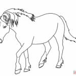 Rearing Horse Coloring Pages At GetColorings Free Printable