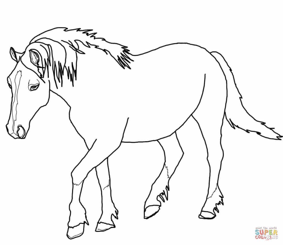Rearing Horse Coloring Pages At GetColorings Free Printable 