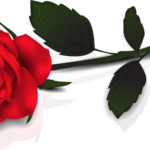 Red Rose Clip Art Free ClipArt Best