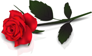 Red Rose Clip Art Free ClipArt Best