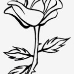 Rose Outline Clipartion