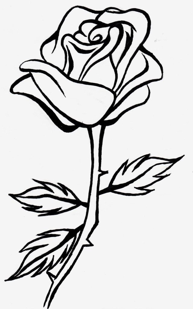 Rose Outline Clipartion