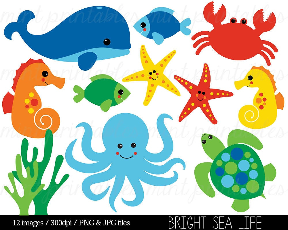 Sea Animal Clipart Under The Sea Baby Sea Creatures Clip Etsy