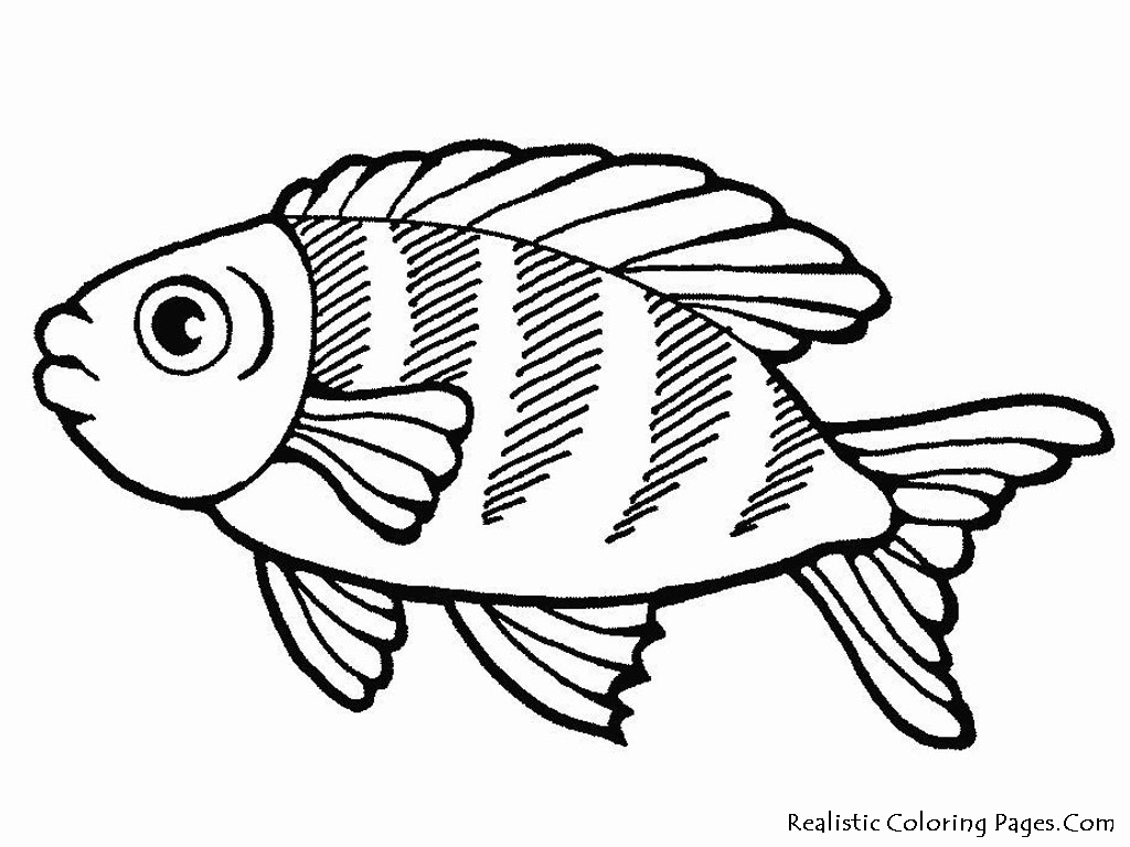 Sea Fish Coloring Pages At GetColorings Free Printable Colorings 