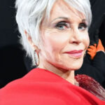 Short Haircut Grey Hair For Women Over 60 Short Hair Over 60 Short