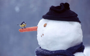 Snowman Wallpapers wallpapers Screensavers