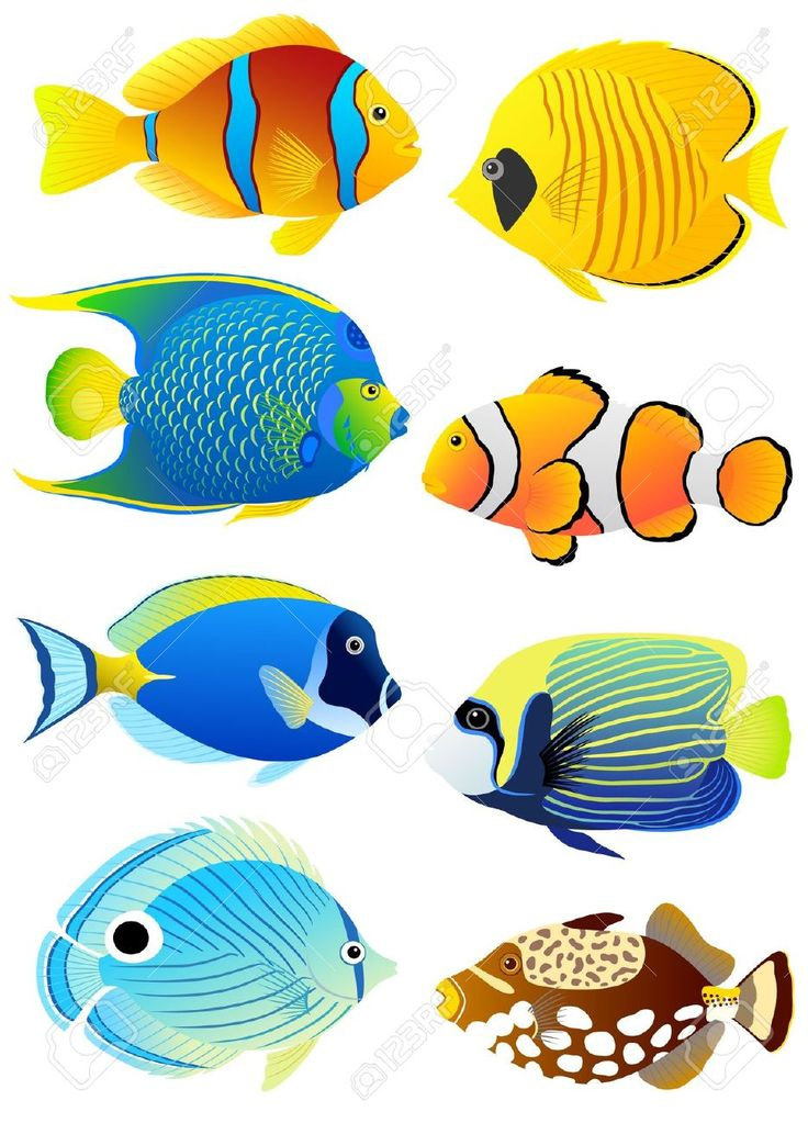 Solid Color Fish Clipart 20 Free Cliparts Download Images On 