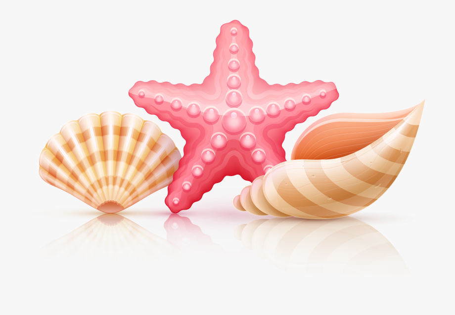Starfish Clipart Seashell And Other Clipart Images On Cliparts Pub 