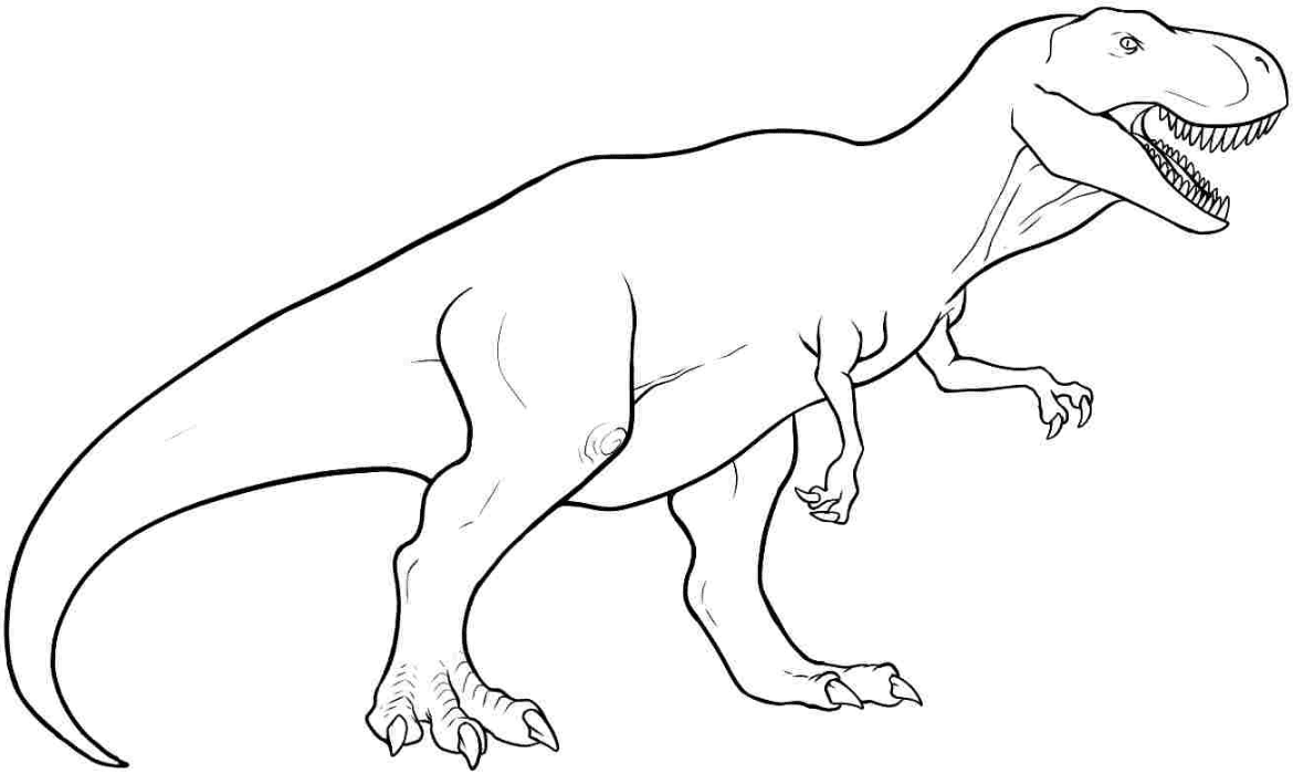 T Rex Coloring Page Coloring Book