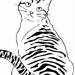 Tabby Cat Coloring Pages At GetColorings Free Printable Colorings