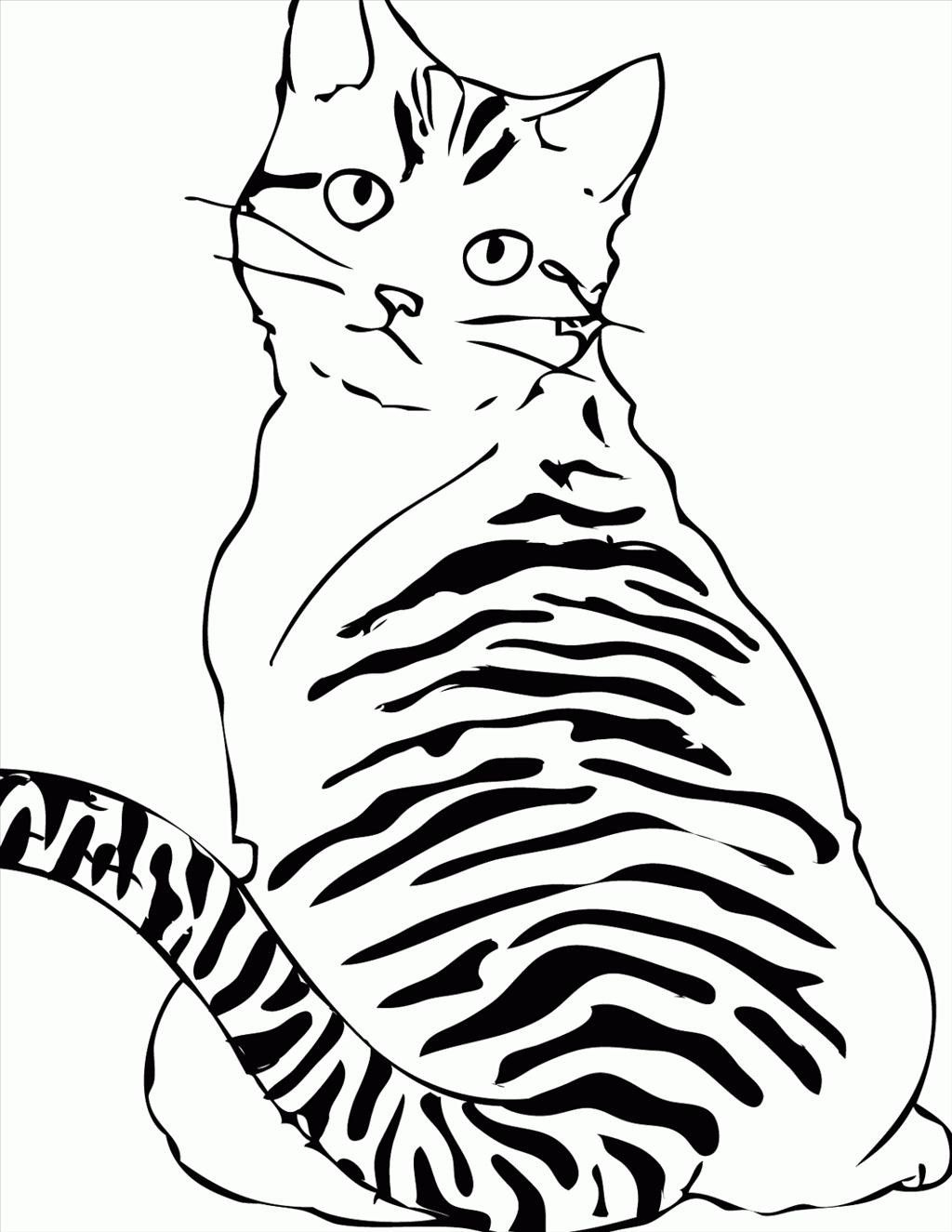 Tabby Cat Coloring Pages At GetColorings Free Printable Colorings 