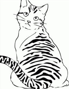 Tabby Cat Coloring Pages At GetColorings Free Printable Colorings