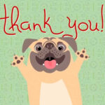 Thank You From Pug Dog Free For Everyone ECards Greeting Cards 123