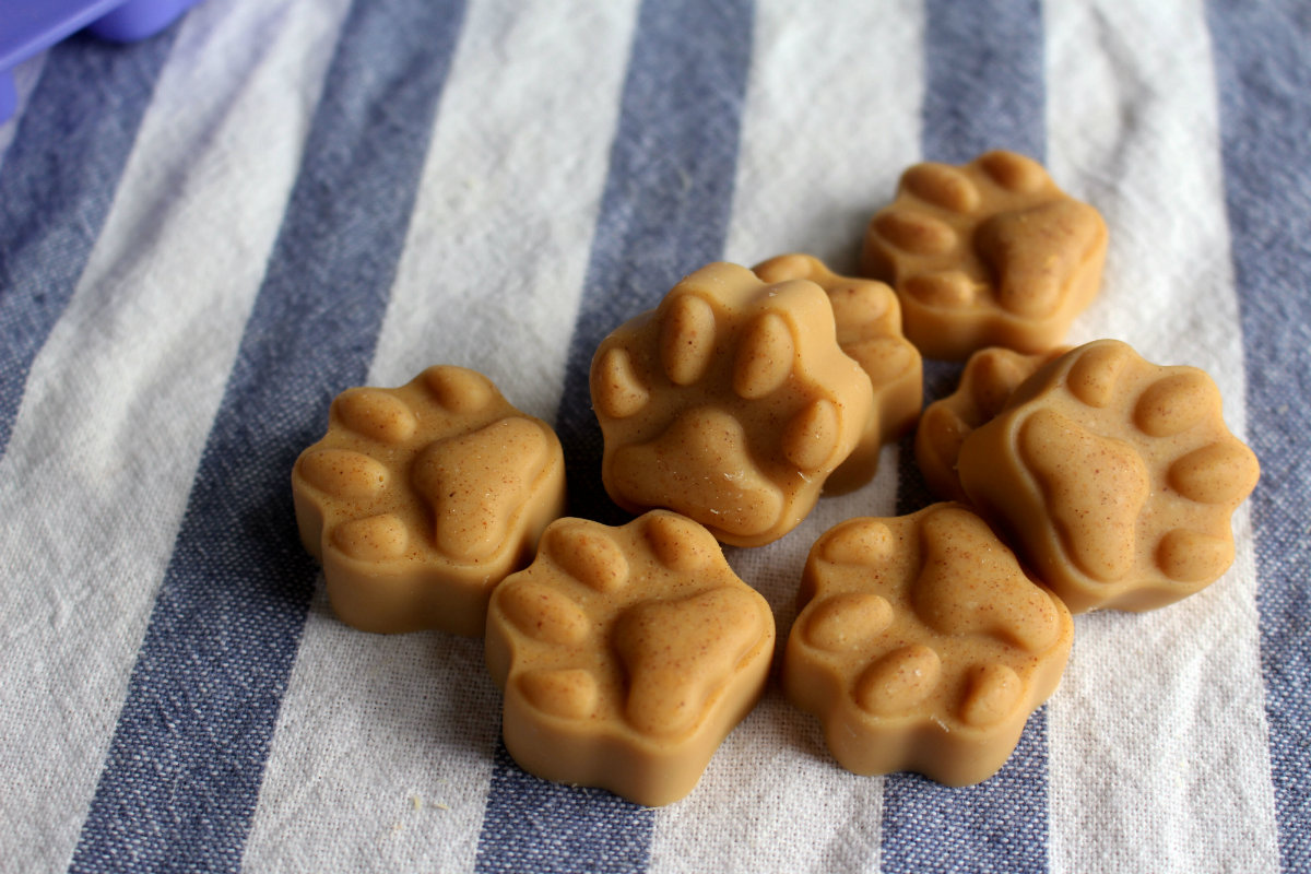 These Simple Dog Treats Help Your Pup s Coat Stay Healthy Beautiful 