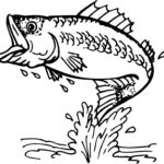 This Is Best Bass Fish Outline 18252 Free Coloring Pages For Your
